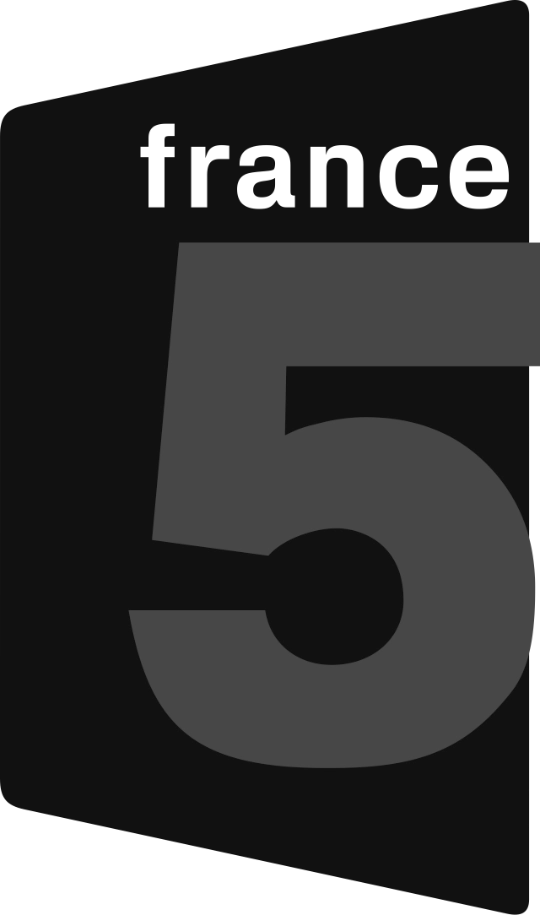 France-5-Logo.webp