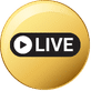 Mentora Live